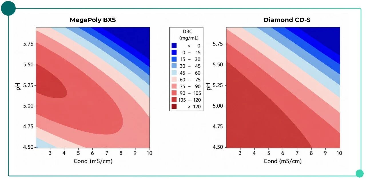 IEX Process Development and Optimization-pic-01